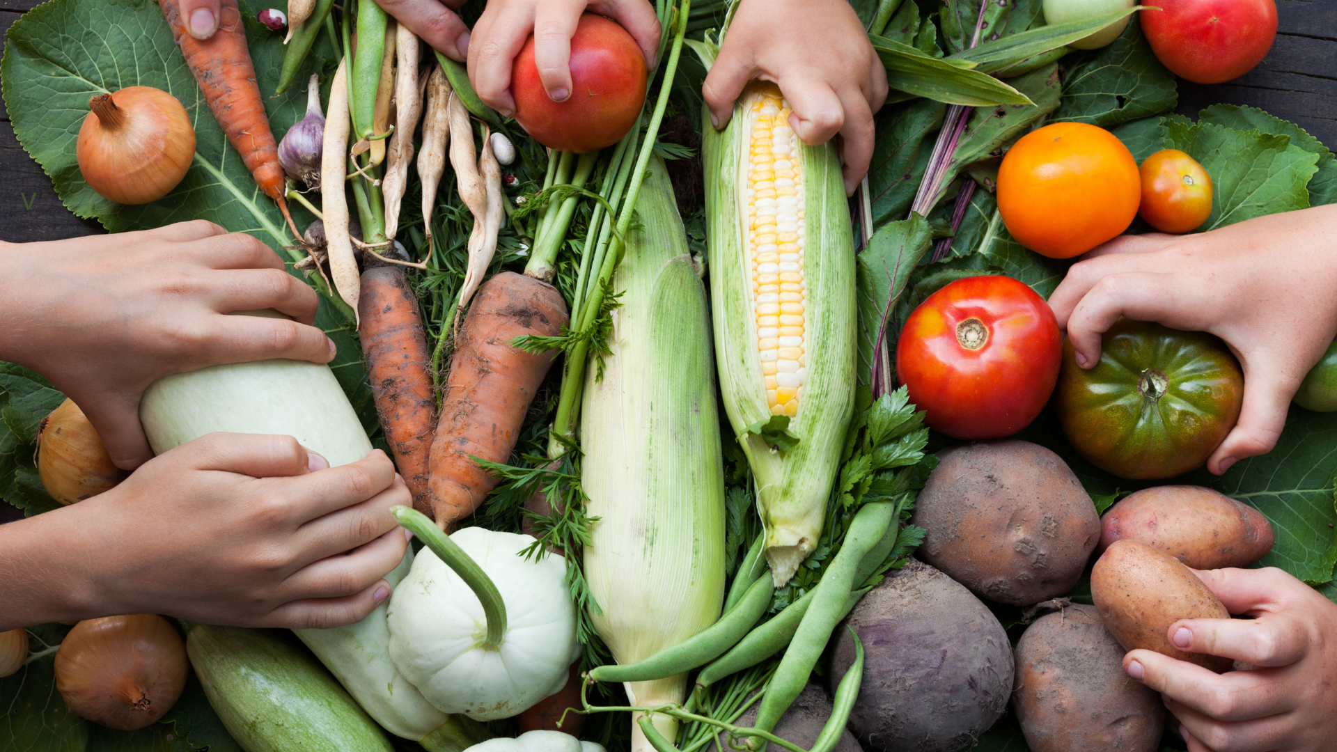Kepenys ir ilgaamžiškumas: tylusis sąjungininkas, kurio dažnai nepastebime