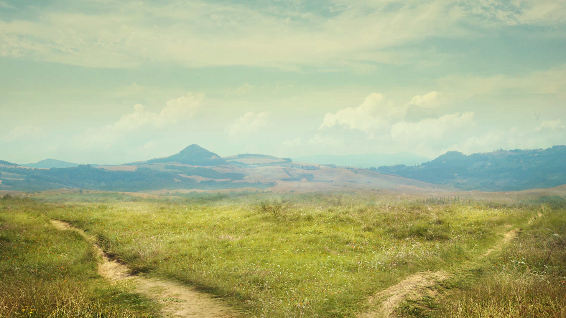 NMN ar NR: kuris NAD⁺ pirmtakas vertingesnis siekiant ilgaamžiškumo?